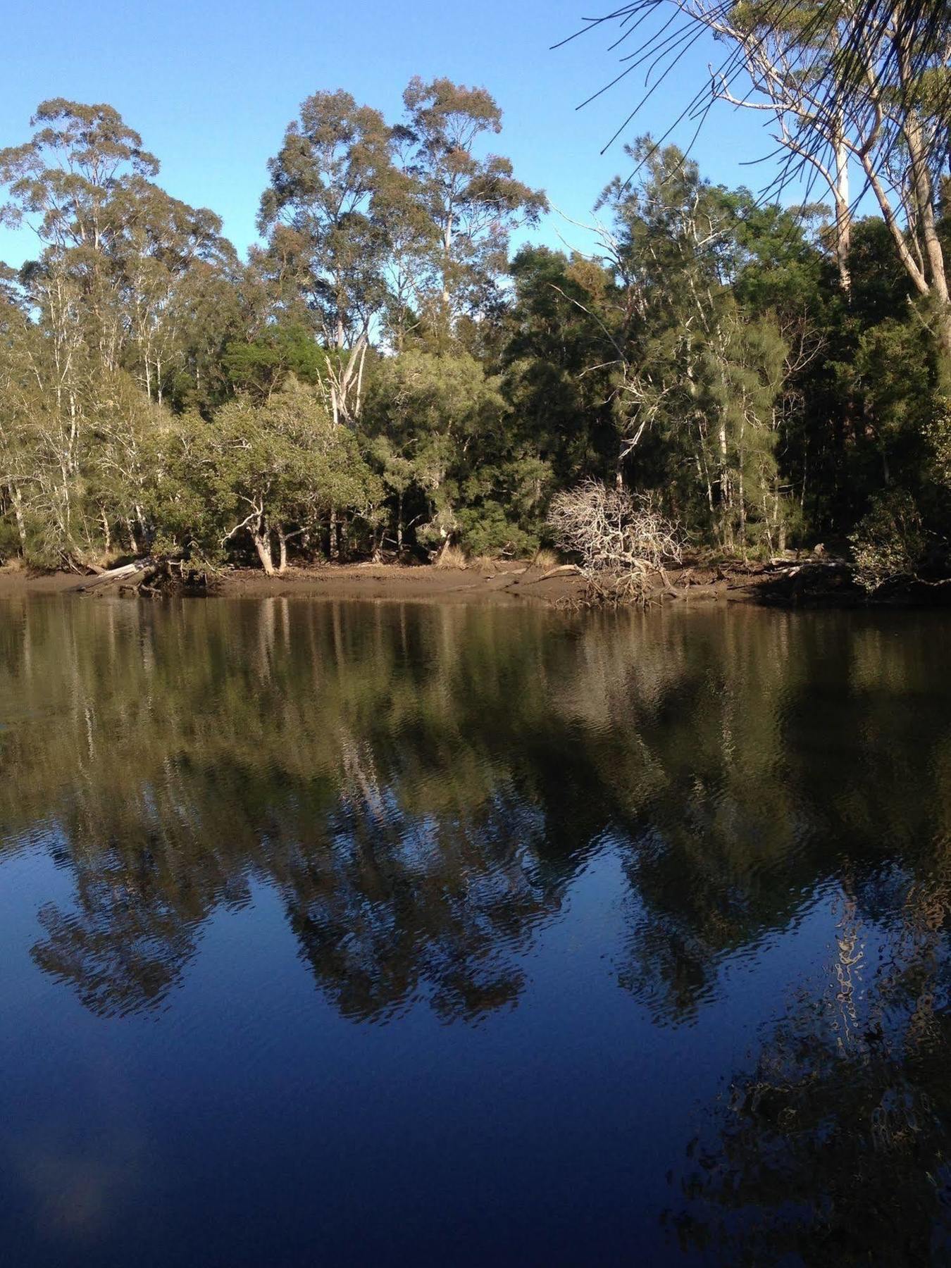 Jervis Bay Cabins & Hidden Creek Campsite Woollamia Exterior photo